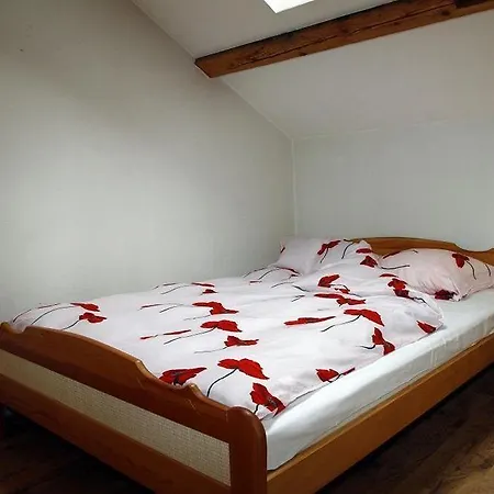 Hostel Goscinne *